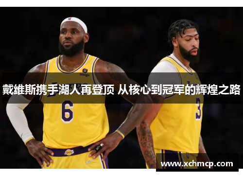戴维斯携手湖人再登顶 从核心到冠军的辉煌之路